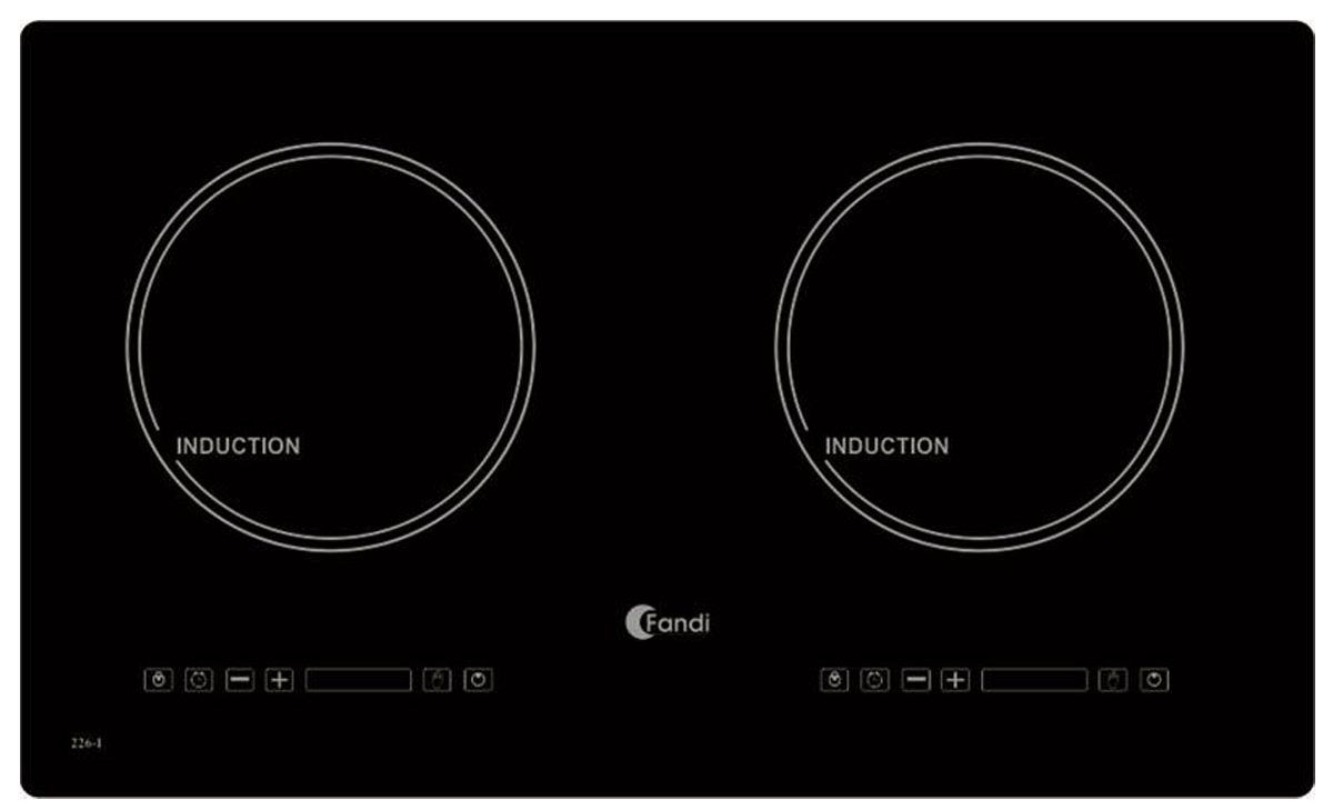 Bếp Từ Fandi FD 226I