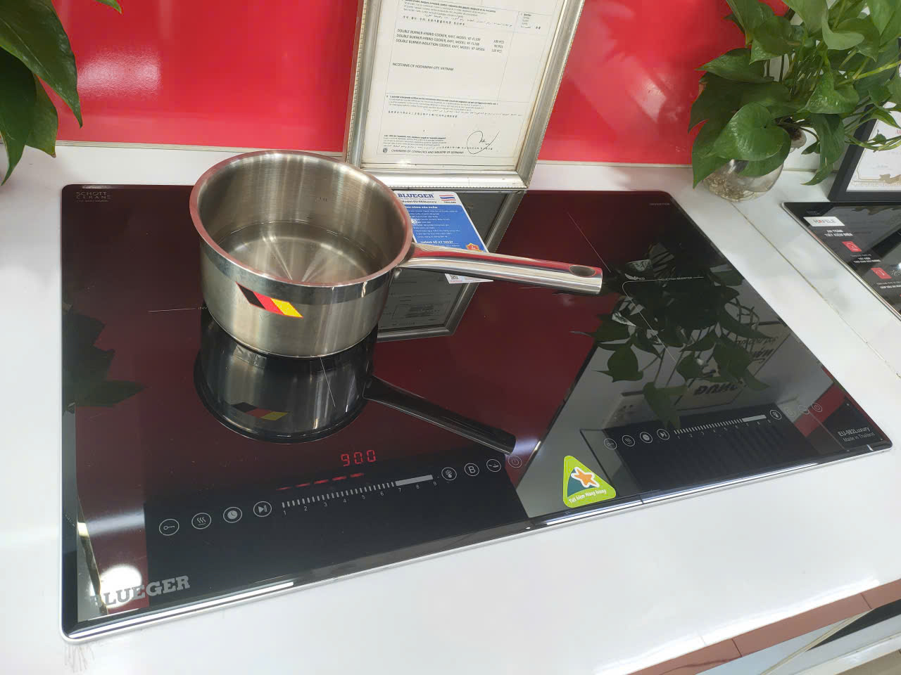 Bếp từ Blueger EU-982Luxury ( NEW 2026 )